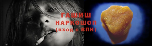 молекула духа Лабытнанги