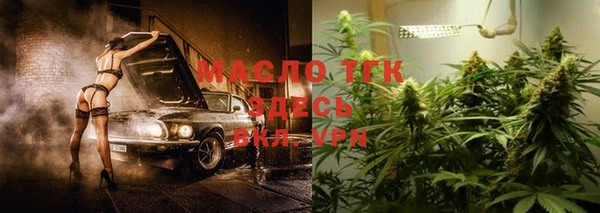 молекула духа Лабытнанги