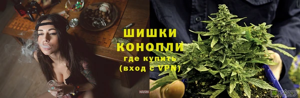 молекула духа Лабытнанги