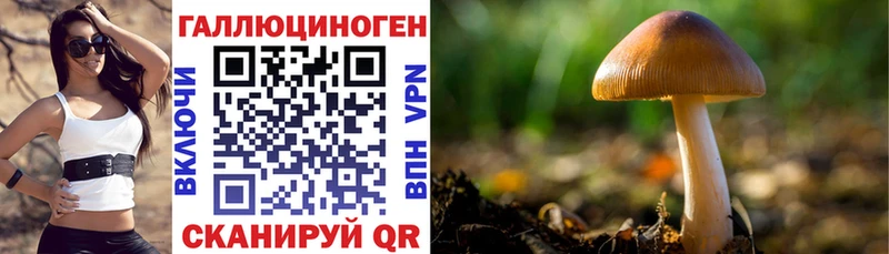 Купить закладки  Алексеевка  Псилоцибиновые грибы мухоморы 